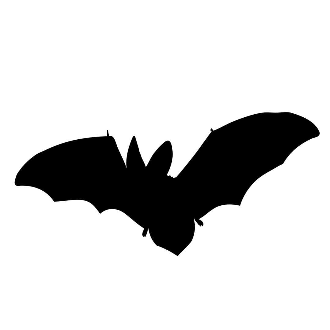 Transfer - BATS at Atelier Fiber Arts