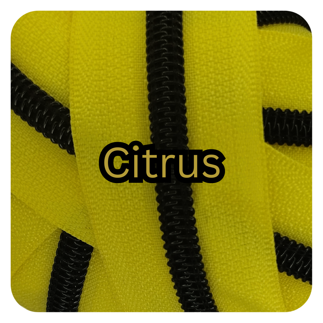 #5 Zipper - Citrus - Black Teeth at Atelier Fiber Arts